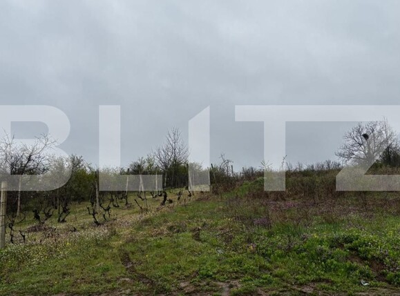 Teren de vânzare Exterior Est - 192542TV | BLITZ Craiova | Poza2