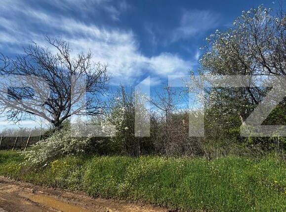 Teren de vânzare Exterior Est - 192542TV | BLITZ Craiova | Poza3