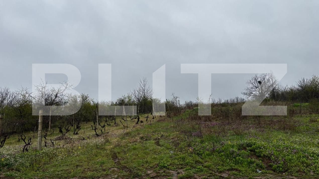 Teren de vânzare Exterior Est - 192542TV | BLITZ Craiova | Poza2
