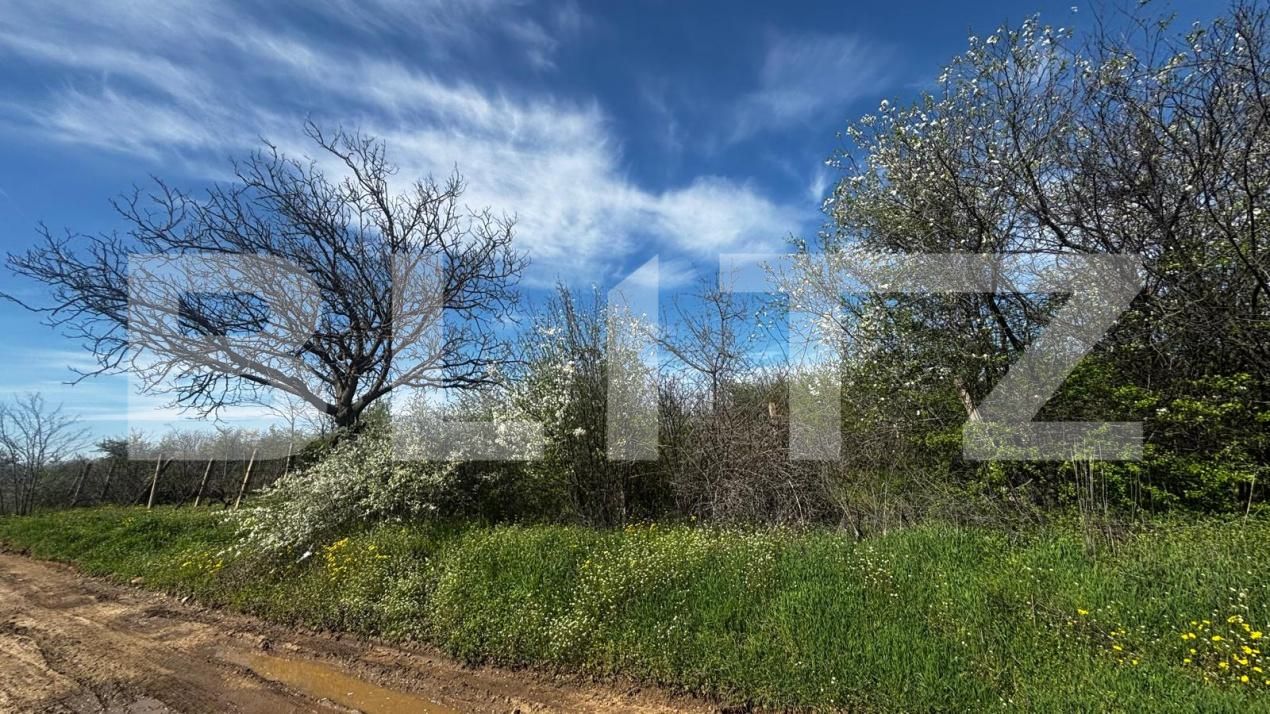 Teren de vânzare Exterior Est - 192542TV | BLITZ Craiova | Poza3