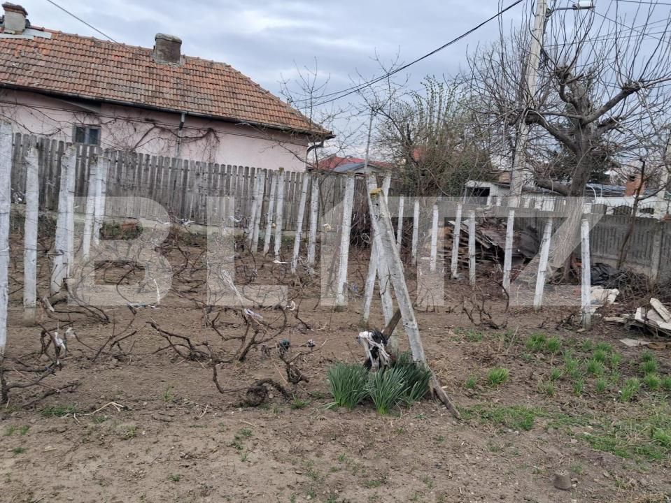 Teren de vânzare Lascar Catargiu - 192571TV | BLITZ Craiova | Poza4