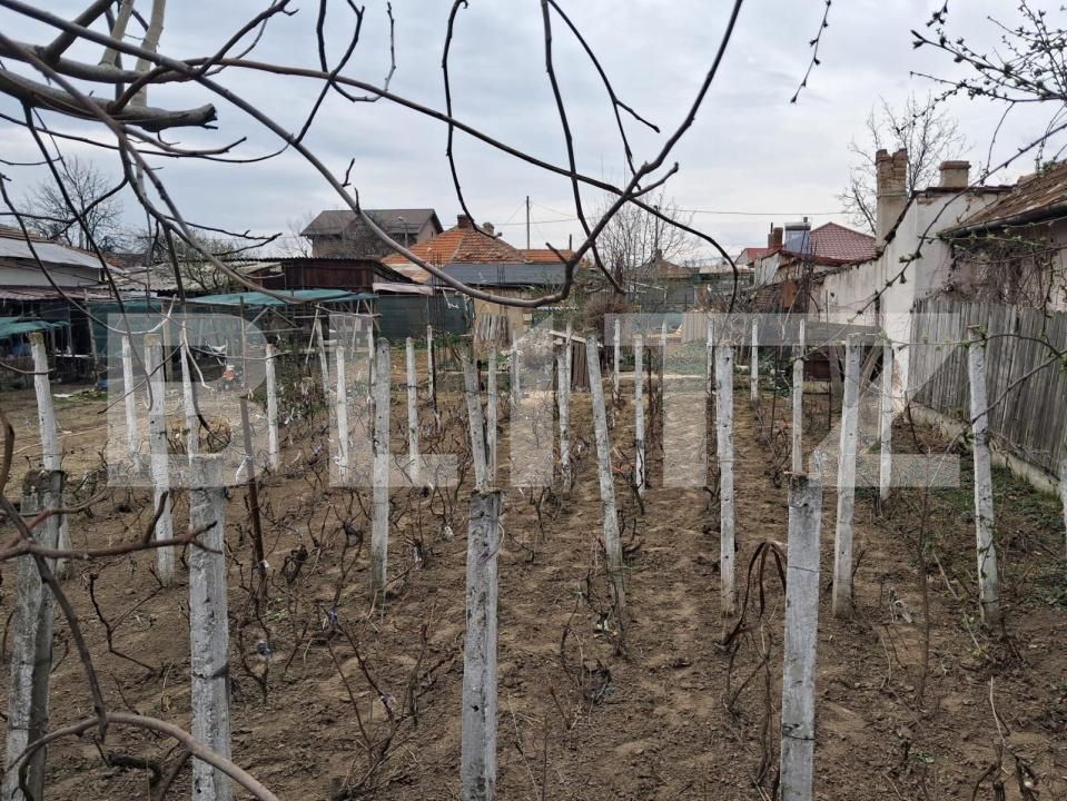 Teren de vânzare Lascar Catargiu - 192571TV | BLITZ Craiova | Poza3