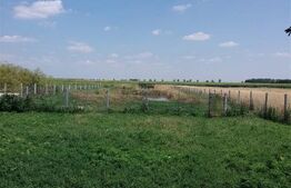 Casa pe parter 50mp utili + teren 4700mp, Bailesti