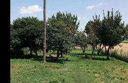 Casa pe parter 50mp utili + teren 4700mp, Bailesti