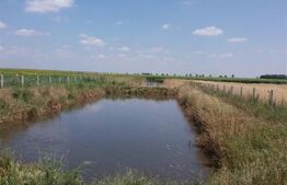 Casa pe parter 50mp utili + teren 4700mp, Bailesti