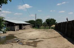 Casa pe parter 50mp utili + teren 4700mp, Bailesti