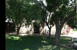 Casa pe parter 50mp utili + teren 4700mp, Bailesti