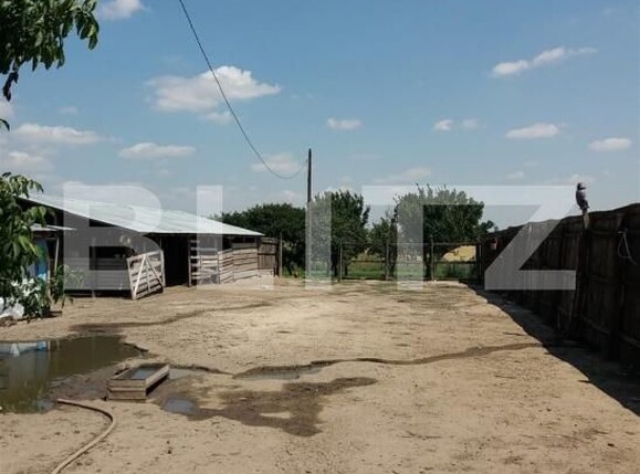 Casa de vânzare 2 camere Exterior Sud - 192572CV | BLITZ Craiova | Poza3