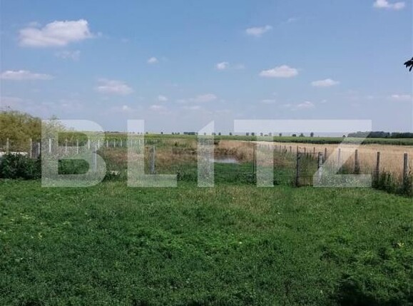 Casa de vânzare 2 camere Exterior Sud - 192572CV | BLITZ Craiova | Poza5