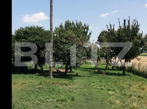 Casa de vânzare 2 camere Exterior Sud - 192572CV | BLITZ Craiova | Poza4