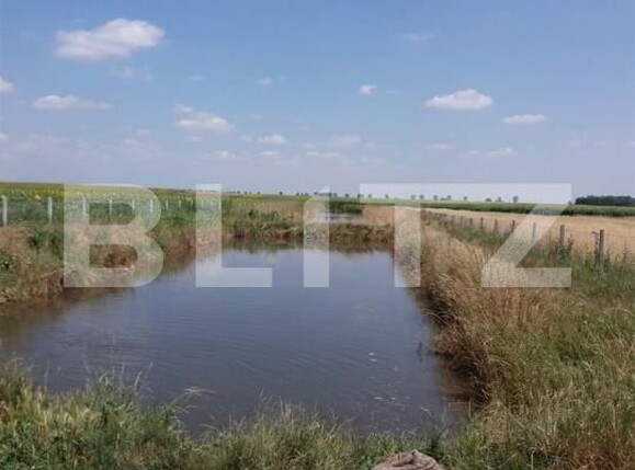 Casa de vânzare 2 camere Exterior Sud - 192572CV | BLITZ Craiova | Poza6