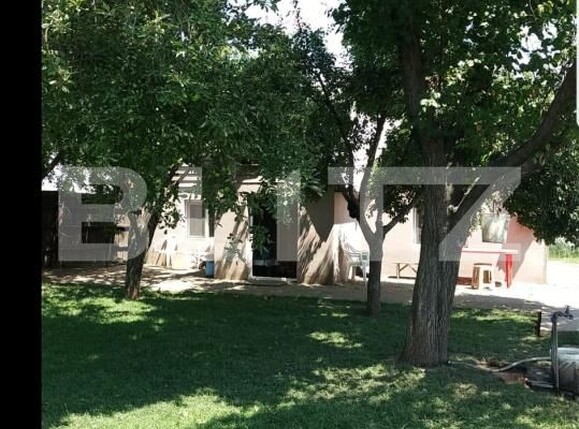 Casa de vânzare 2 camere Exterior Sud - 192572CV | BLITZ Craiova | Poza2