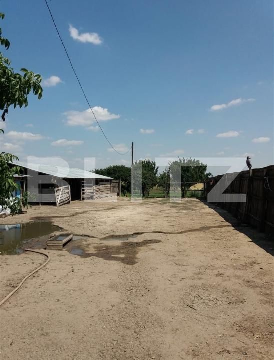 Casa de vânzare 2 camere Exterior Sud - 192572CV | BLITZ Craiova | Poza3