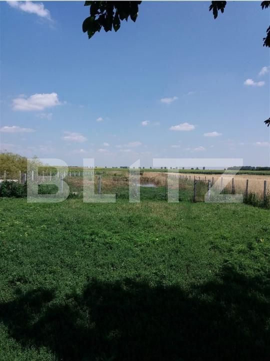 Casa de vânzare 2 camere Exterior Sud - 192572CV | BLITZ Craiova | Poza5