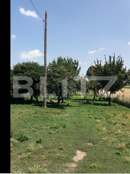 Casa de vânzare 2 camere Exterior Sud - 192572CV | BLITZ Craiova | Poza4