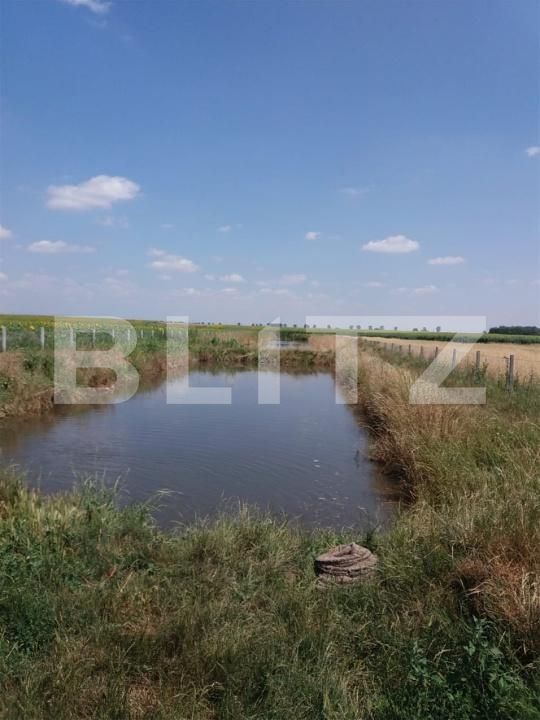 Casa de vânzare 2 camere Exterior Sud - 192572CV | BLITZ Craiova | Poza6