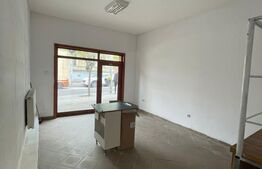 Spatiu comercial de inchiriat, 24 mp - Brazda 