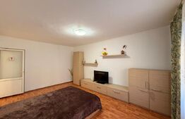 Apartament de 2 camere decomandat, zona Rovine 