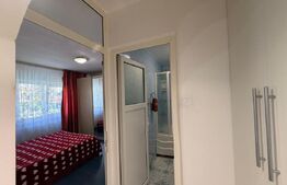 Apartament de 2 camere decomandat, zona Rovine 