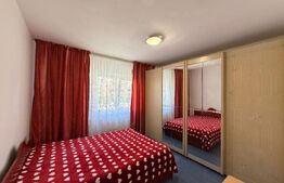 Apartament de 2 camere decomandat, zona Rovine 