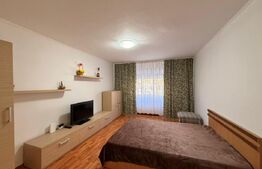 Apartament de 2 camere decomandat, zona Rovine 