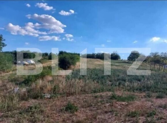 Teren de vânzare Pielești - 192655TV | BLITZ Craiova | Poza1