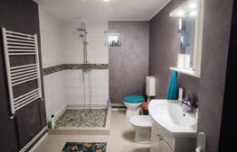 Casa cocheta 72 mp si 106 mp teren, mobilata-utilata, zona Lidl-Brestei!