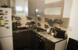 Casa cocheta 72 mp si 106 mp teren, mobilata-utilata, zona Lidl-Brestei!