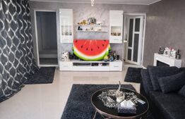 Casa cocheta 72 mp si 106 mp teren, mobilata-utilata, zona Lidl-Brestei!