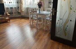 Casa Bradesti Dolj P+M, 1480 mp teren