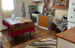 Casa Bradesti Dolj P+M, 1480 mp teren