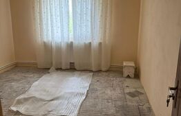 Casa Bradesti Dolj P+M, 1480 mp teren