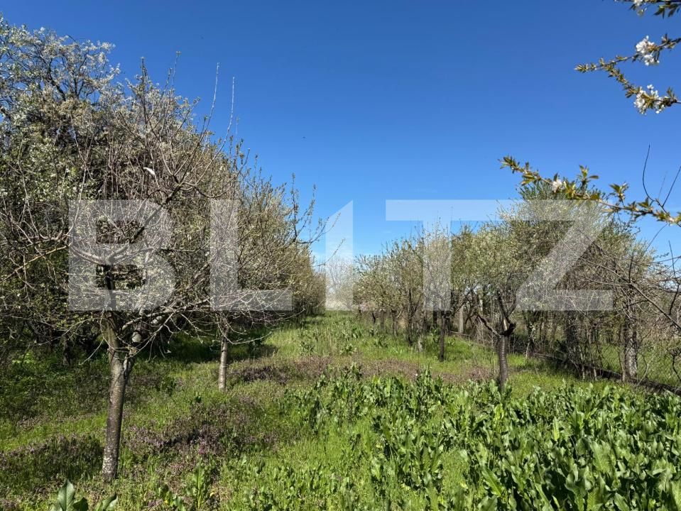 Casa de vânzare 4 camere Bradesti - 192749CV | BLITZ Craiova | Poza19