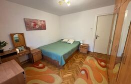 Apartament de inchiriat, 3 camere, 90 mp, Brazda lui Novac