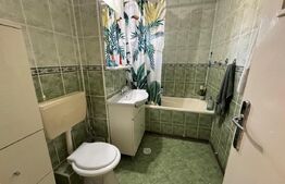 Apartament de inchiriat, 3 camere, 90 mp, Brazda lui Novac