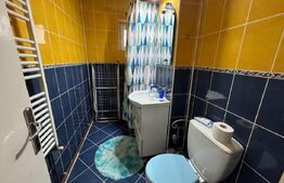 Apartament de inchiriat, 3 camere, 90 mp, Brazda lui Novac