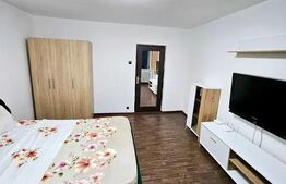 Garsoniera de vanzare, 30 mp, zona Brazda lui Novac