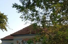 Casa P, 96 mp, teren 1948, Silistea Crucii 