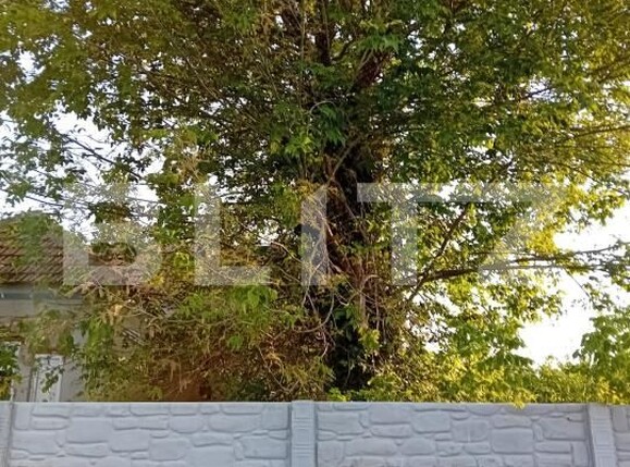 Casa de vânzare 5 camere Silistea Crucii - 192861CV | BLITZ Craiova | Poza6
