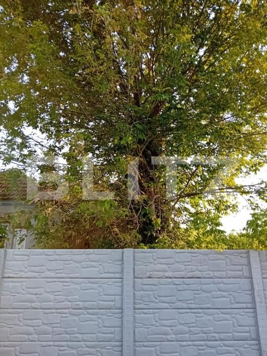 Casa de vânzare 5 camere Brazda lui Novac - 192861CV | BLITZ Craiova | Poza6