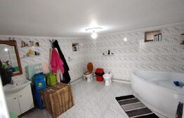 Casa de vanzare, 200 mp, zona Nicolae Romanescu