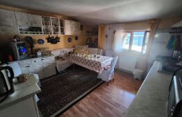 Casa 9 camere, 200 mp utili, zona Bd. Titulescu