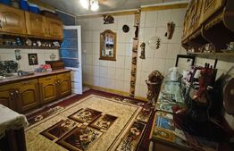 Casa 9 camere, 200 mp utili, zona Bd. Titulescu