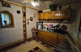 Casa 9 camere, 200 mp utili, zona Bd. Titulescu