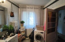 Casa 9 camere, 200 mp utili, zona Bd. Titulescu