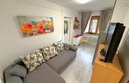 Apartament 2 camere, 26 mp, zona Valea Roșie