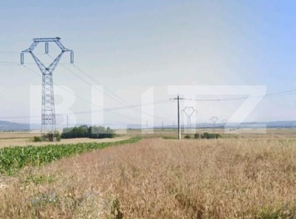 Teren de vânzare Filiaşi - 192942TV | BLITZ Craiova | Poza2