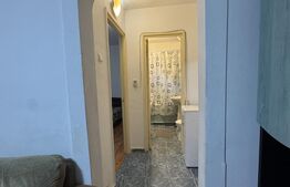 Apartament 2 camere, 54 mp, zona Lăpuș