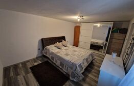 Casă de vânzare Băilești – 100 mp, curte proprie