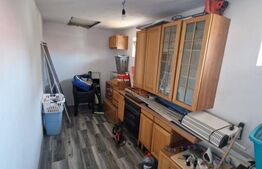 Casă de vânzare Băilești – 100 mp, curte proprie